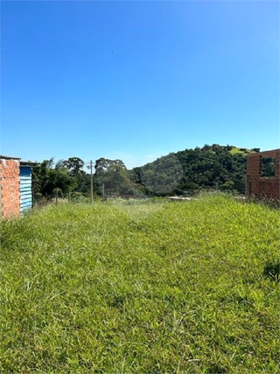 Foto REO809407