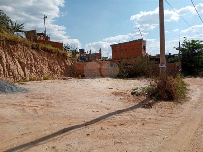 Foto REO809407