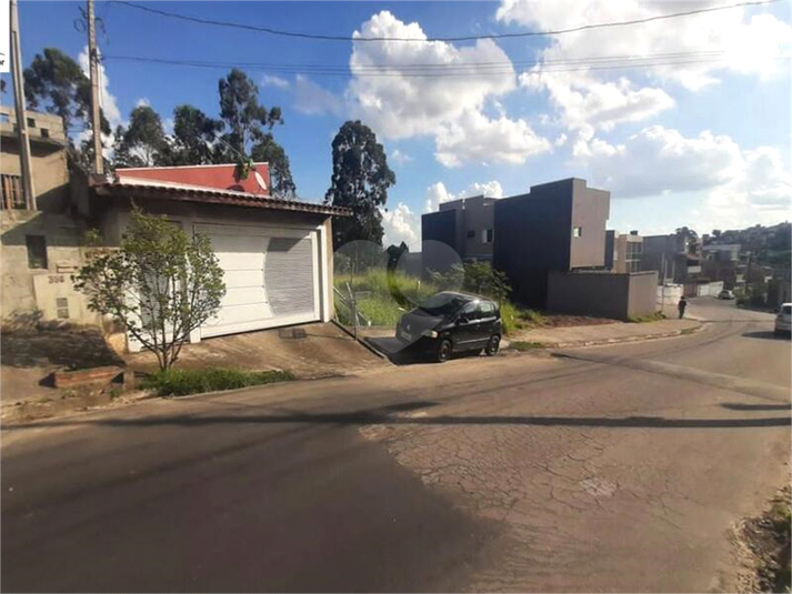 Foto REO810399