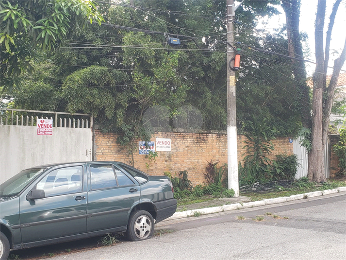 Foto REO810446