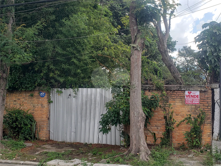 Foto REO810446