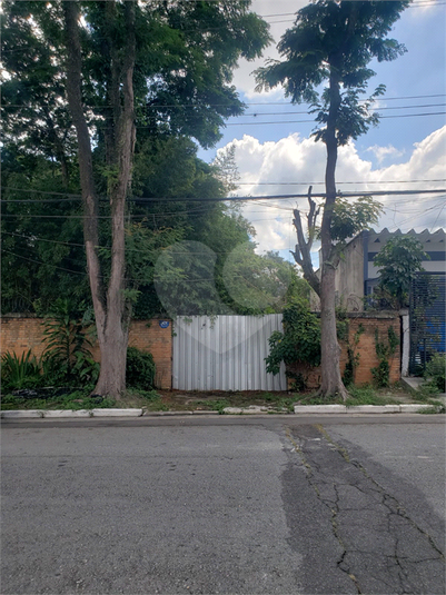 Foto REO810446