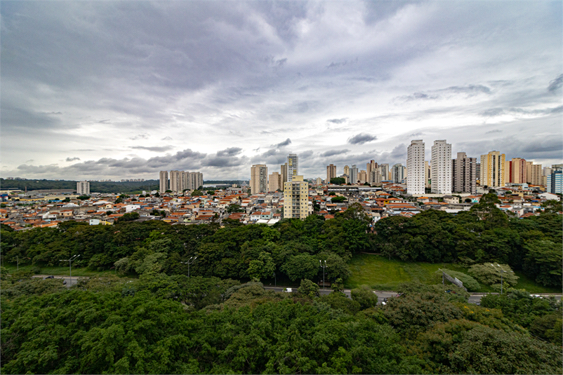 Venda Cobertura São Paulo Vila Monte Alegre REO810644 6