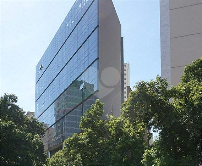Foto REO810783
