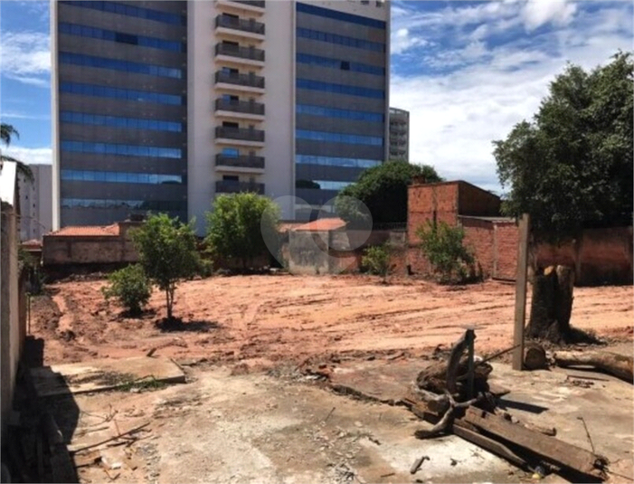 Foto REO810857