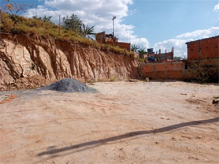 Foto REO810881