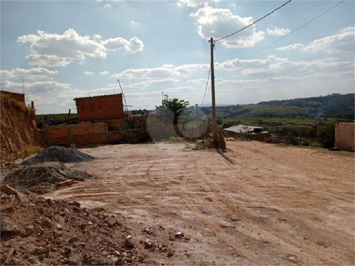 Foto REO810881