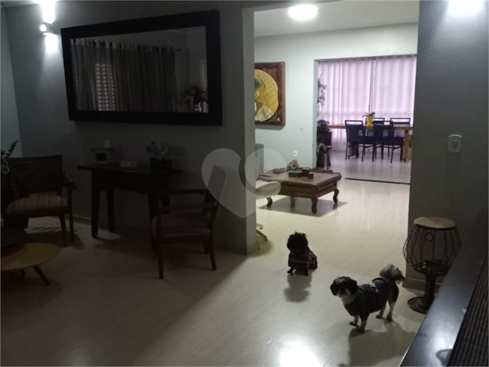 Foto REO810982