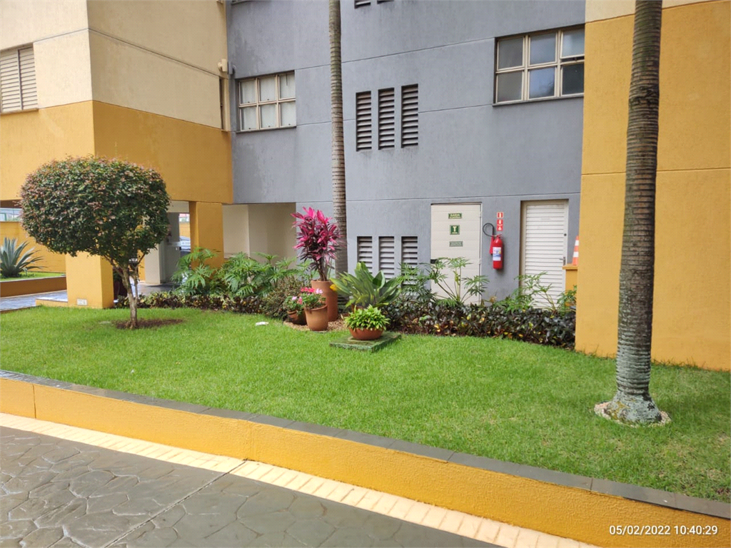 Venda Apartamento Campinas Bonfim REO811182 17