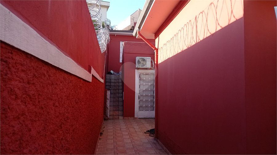 Foto REO81136