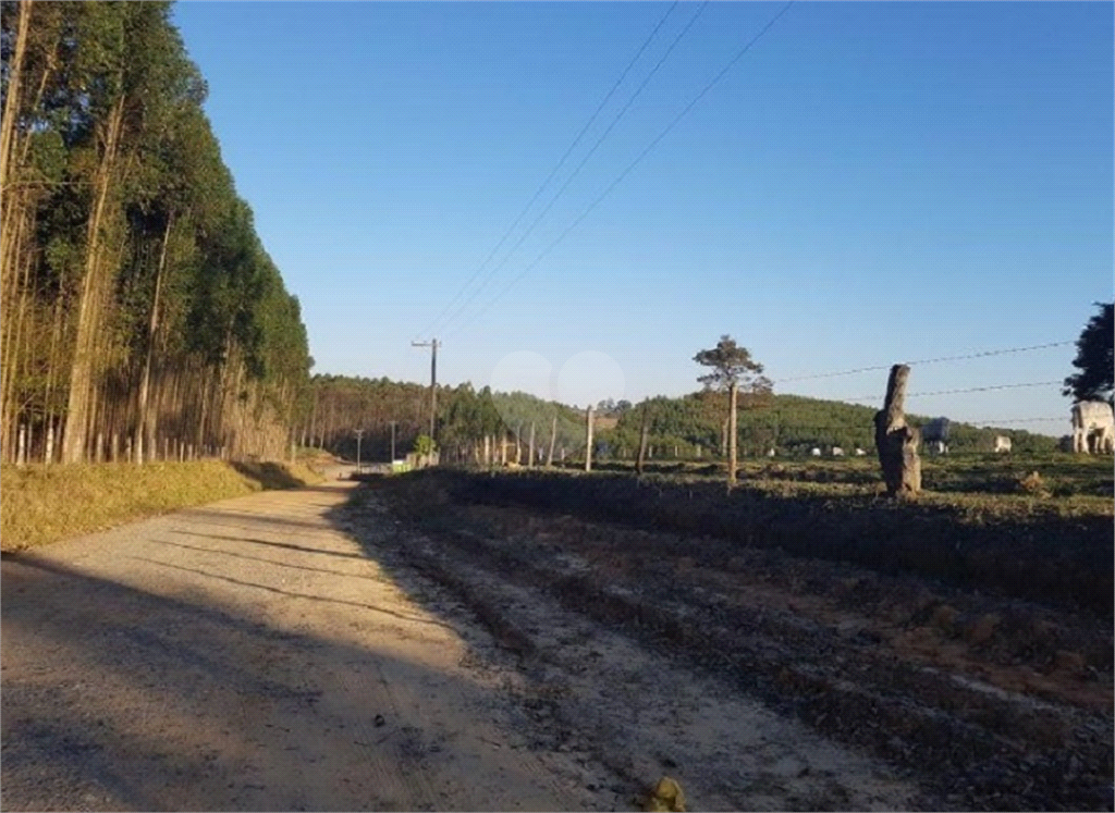 Venda Terreno Salto De Pirapora Centro REO811471 7