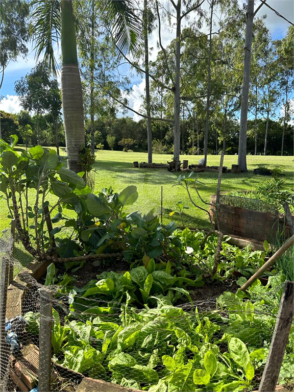 Venda Sítio Charqueada Recreio REO812105 63