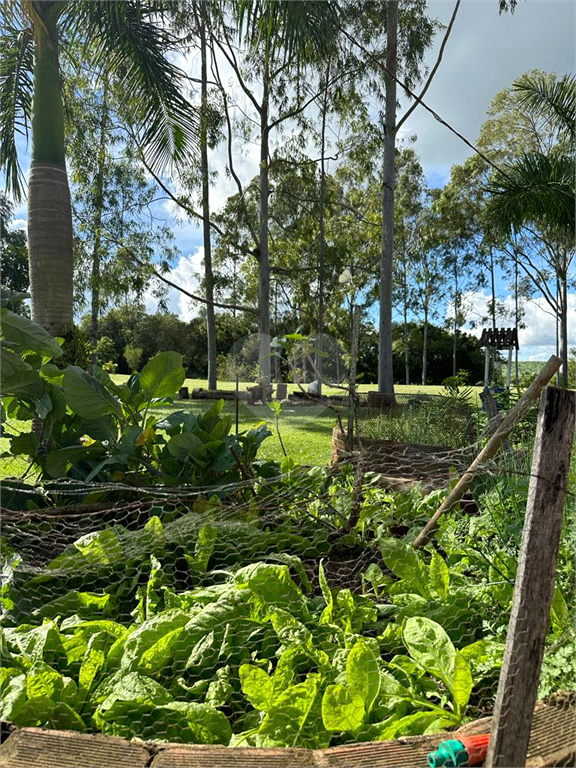 Venda Sítio Charqueada Recreio REO812105 62