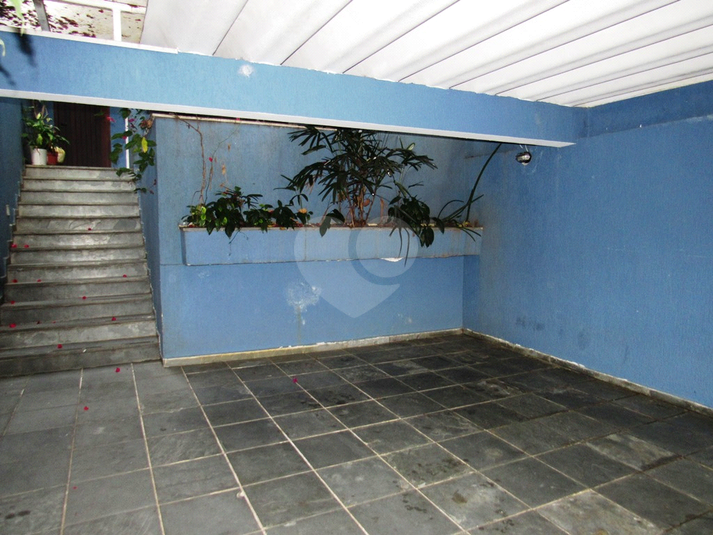 Foto REO812372