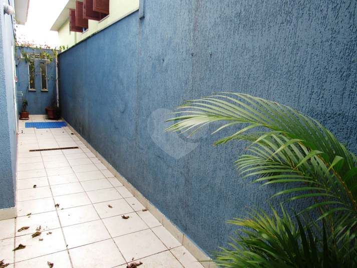 Foto REO812372