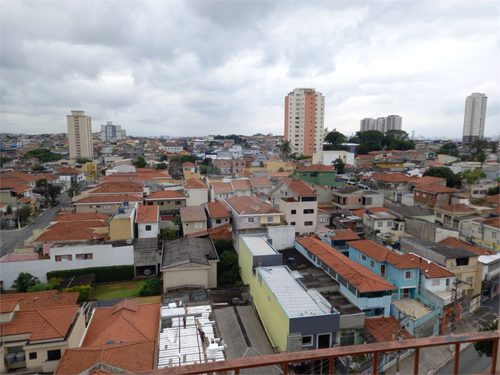Foto REO812678