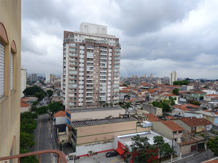 Foto REO812678