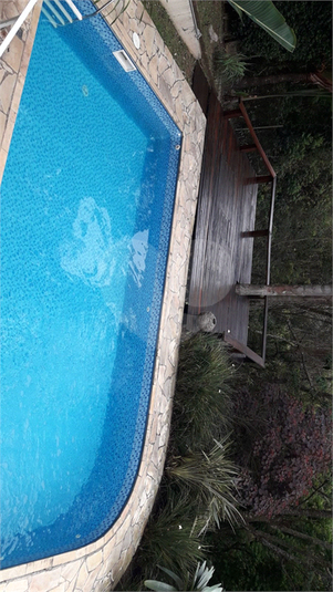 Foto REO812865