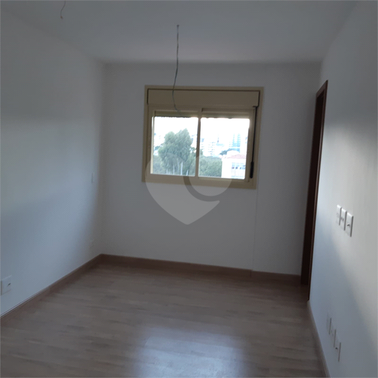 Foto REO813264