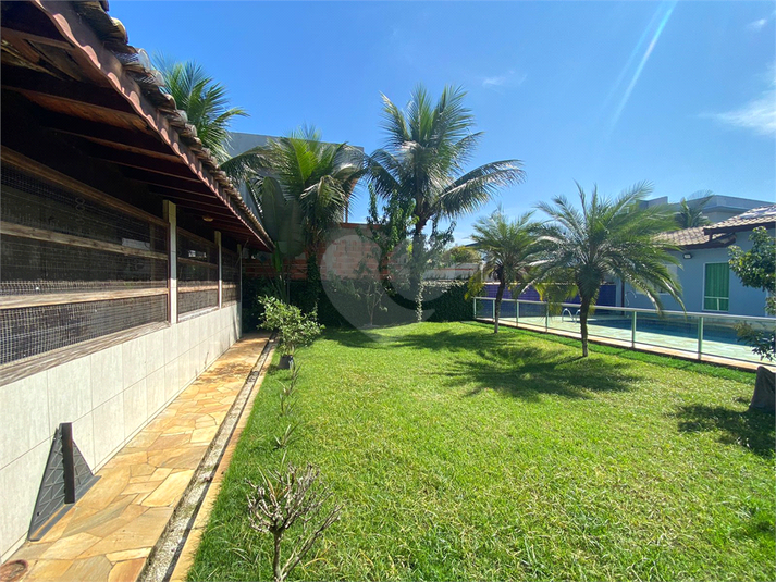 Foto REO815844