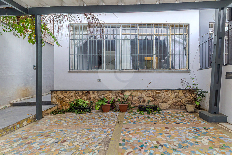 Foto REO815978