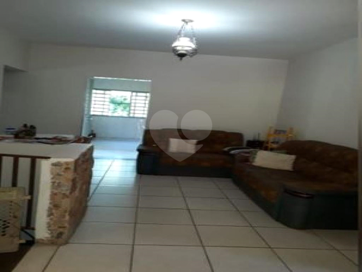 Foto REO816587