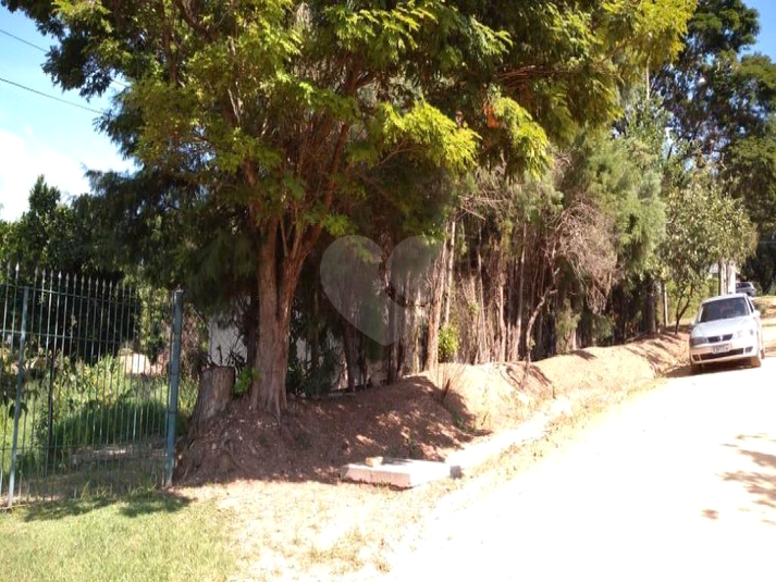Foto REO816588
