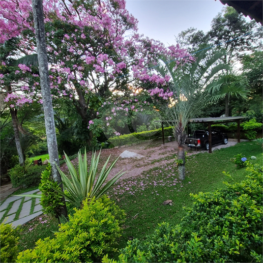 Foto REO816624