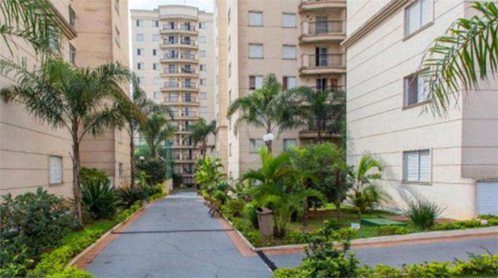 Venda Apartamento São Paulo Jardim Vergueiro (sacomã) REO817067 23