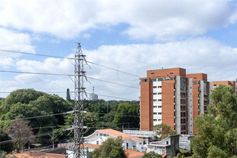 Foto REO817254