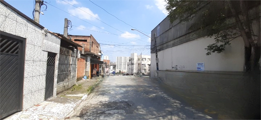 Foto REO817362