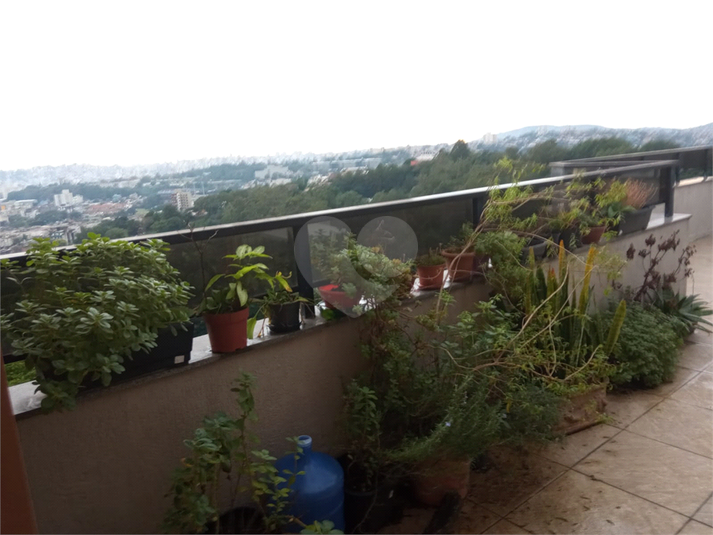 Foto REO817530