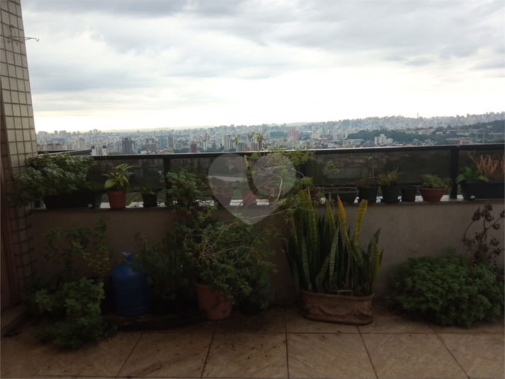 Foto REO817530