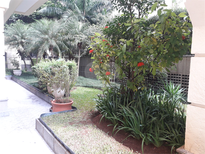 Foto REO81767