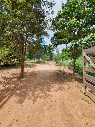 Venda Área de Terra Sinop Setor Comercial REO817780 25