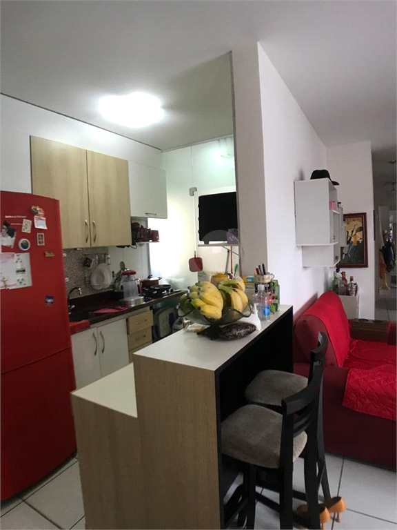 Venda Apartamento Serra Hélio Ferraz REO817930 4