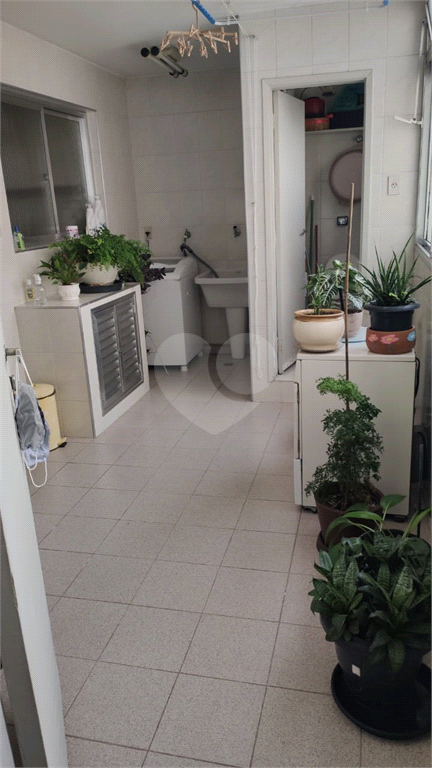 Venda Apartamento São Paulo Alto Da Lapa REO81837 10