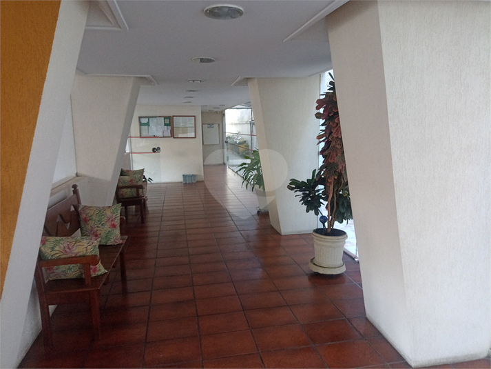 Foto REO818902