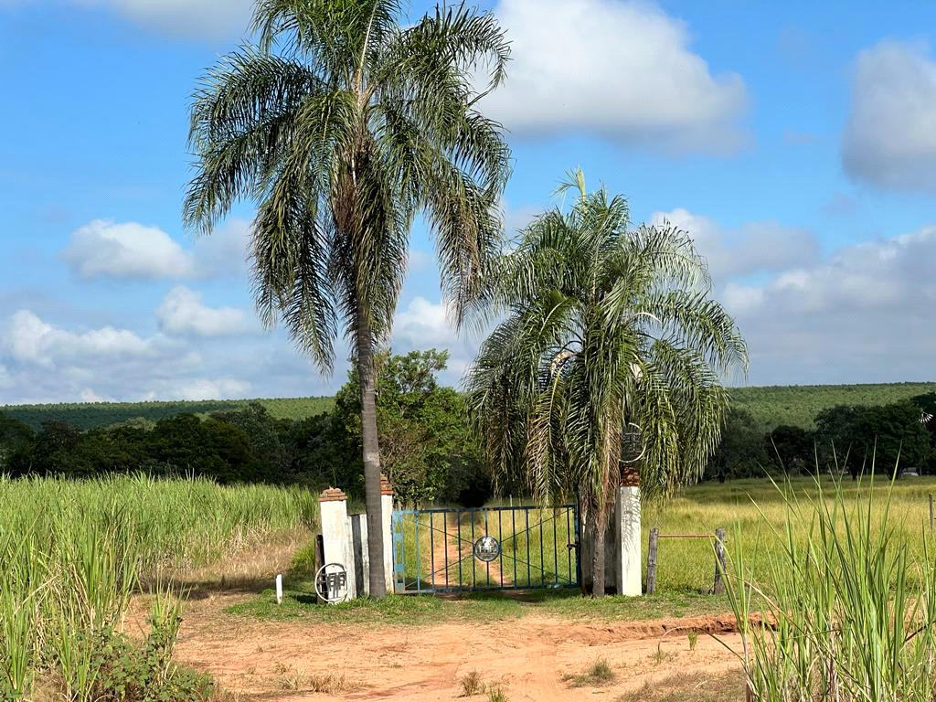 Venda Sítio Lençóis Paulista Zona Rural REO818910 1