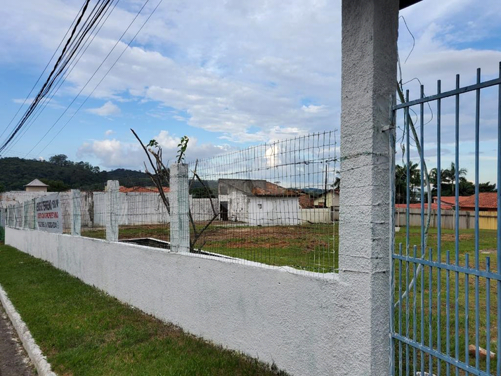 Foto REO819096