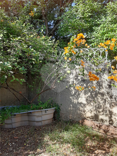 Aluguel Casa Sorocaba Jardim Paulistano REO819351 13