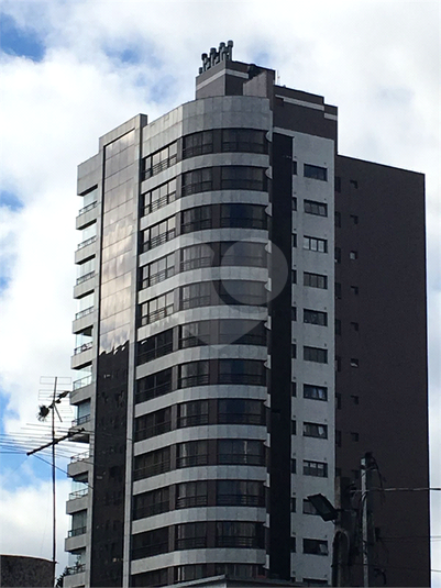 Foto REO819367