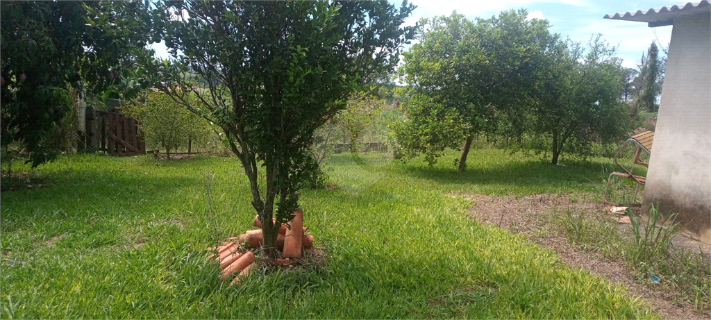 Venda Chácara Porto Feliz Área Rural De Porto Feliz REO819676 27