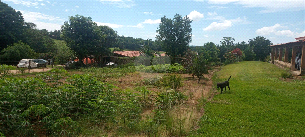 Venda Chácara Porto Feliz Área Rural De Porto Feliz REO819676 16