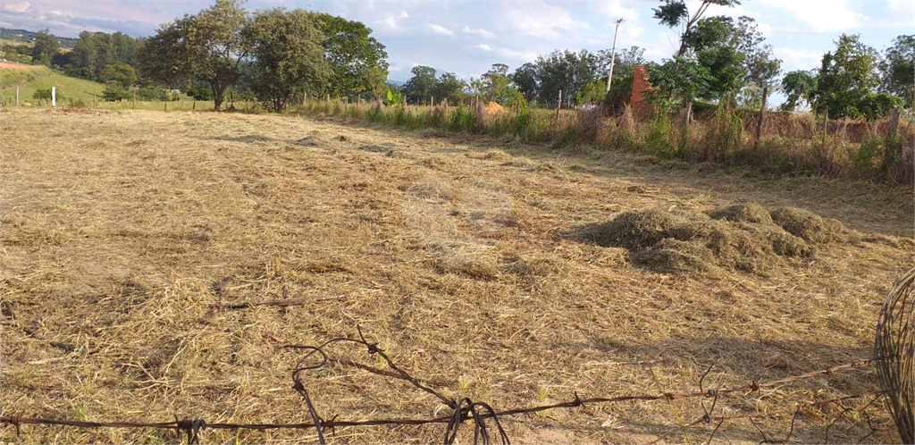 Venda Chácara Porto Feliz Área Rural De Porto Feliz REO819676 11