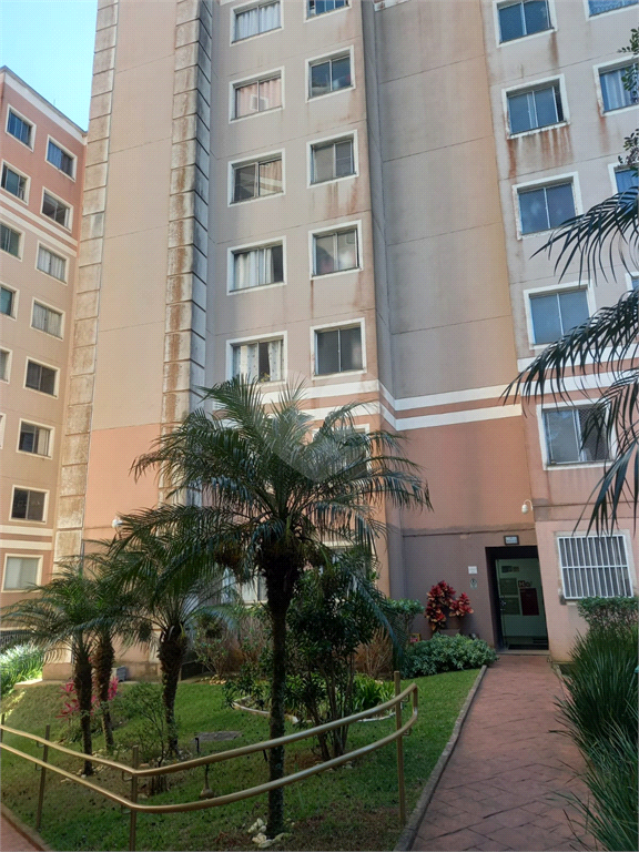 Venda Apartamento São Paulo Jardim Lallo REO819720 1