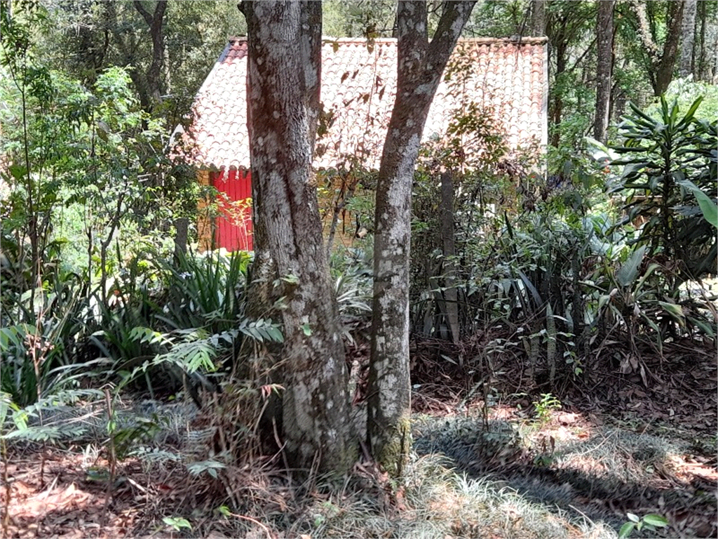 Venda Sítio Mairiporã Caraguatá REO819872 31