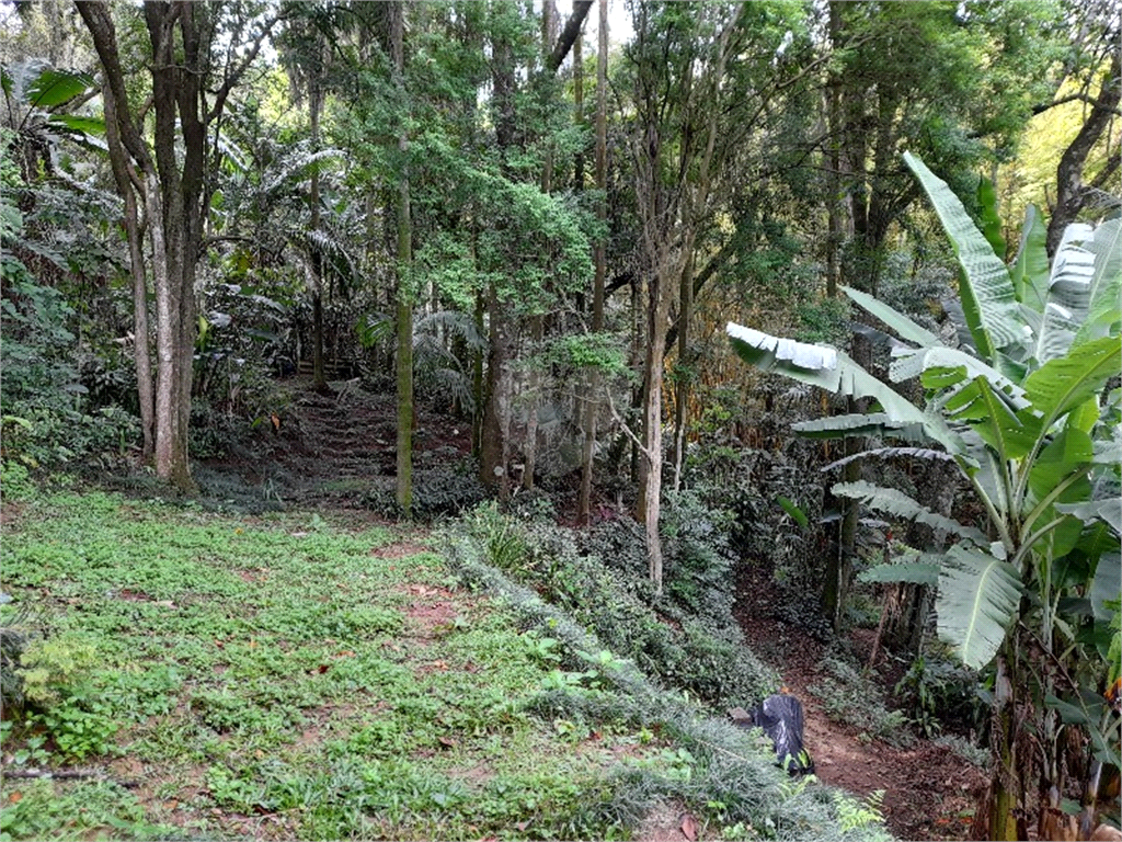 Venda Sítio Mairiporã Caraguatá REO819872 10