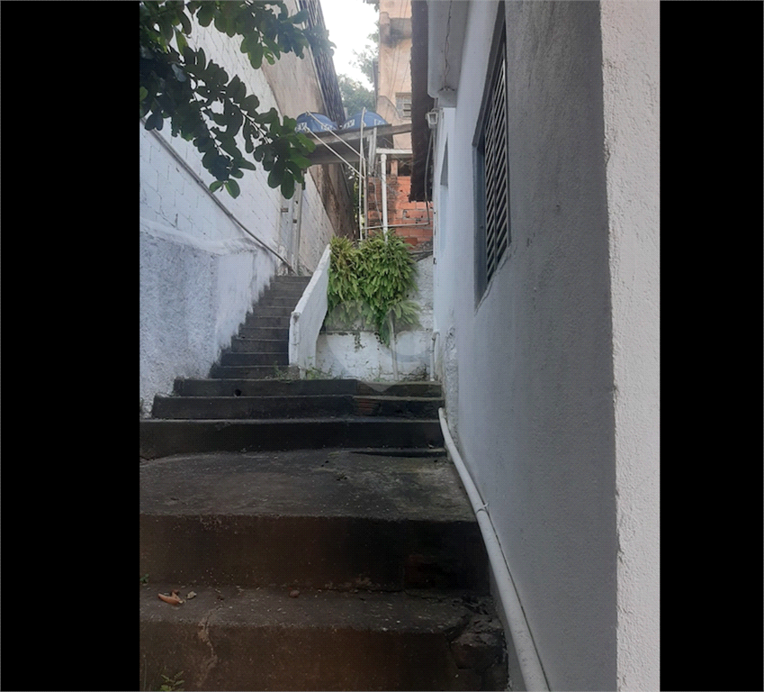 Venda Casa São Paulo Perdizes REO819890 5