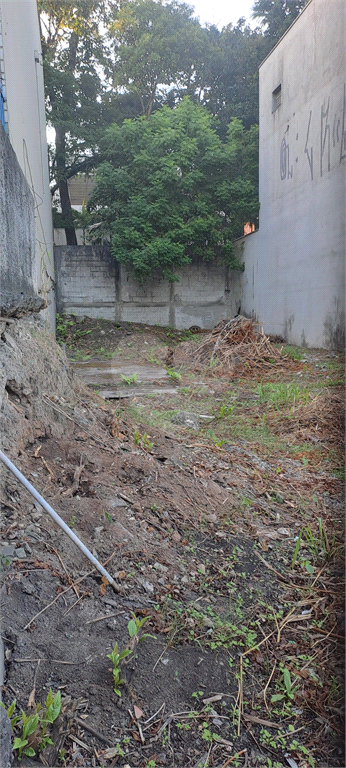 Venda Terreno São Paulo Vila Albertina REO820220 3